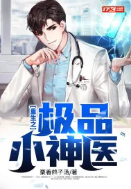 《重生之极品小神医》小说封面