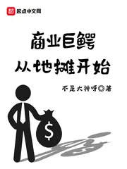 《商业巨鳄从地摊开始》小说封面