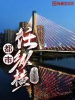 《都市任纵横》小说封面