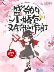《盛爷的小娇包又在兴风作浪了》小说封面