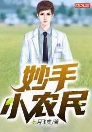 《妙手小农民》小说封面