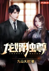《龙婿独尊》小说封面