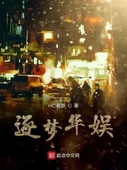 《逐梦华娱》小说封面