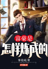 《富豪是怎样炼成的》小说封面