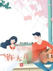 《从四合院许大茂开始》小说封面