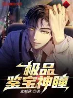 《极品鉴宝神瞳》小说封面