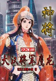 《神将：大汉将军鹰龙》小说封面