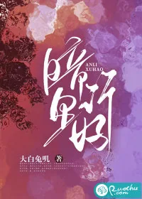 《暗里许好》小说封面