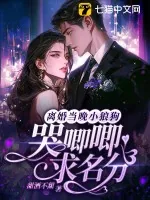 《离婚当晚,小狼狗哭唧唧求名分》小说封面