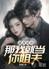 《撬我墙角？那我就当你姐夫！》小说封面