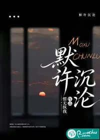 《默许沉沦》小说封面
