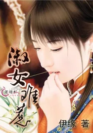 《淑女难惹》小说封面