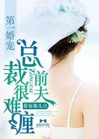 《第一婚宠：总裁前夫很难缠》小说封面
