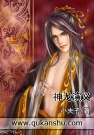 《神龙演义》小说封面