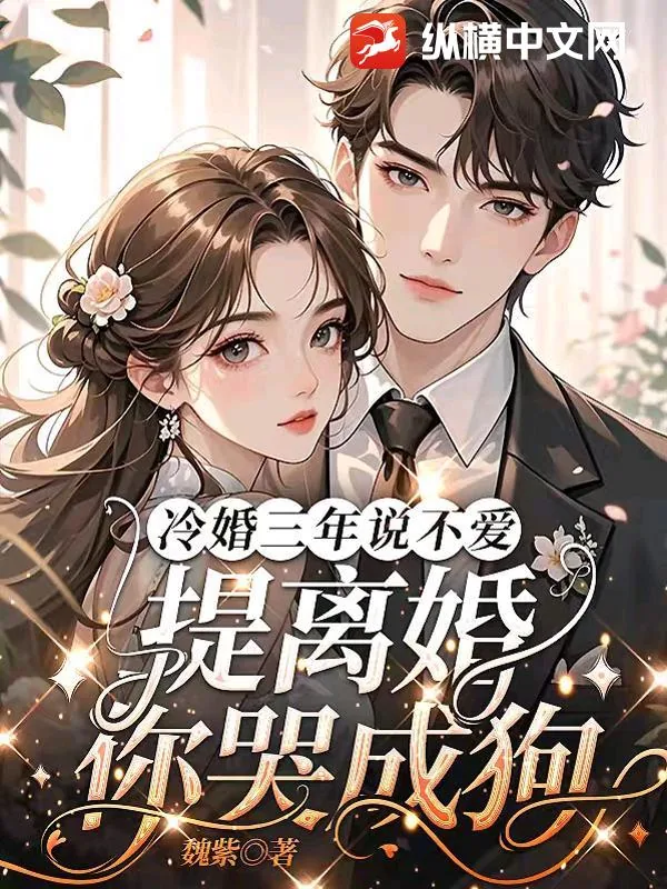 《冷婚三年说不爱,提离婚你哭成狗?》小说封面