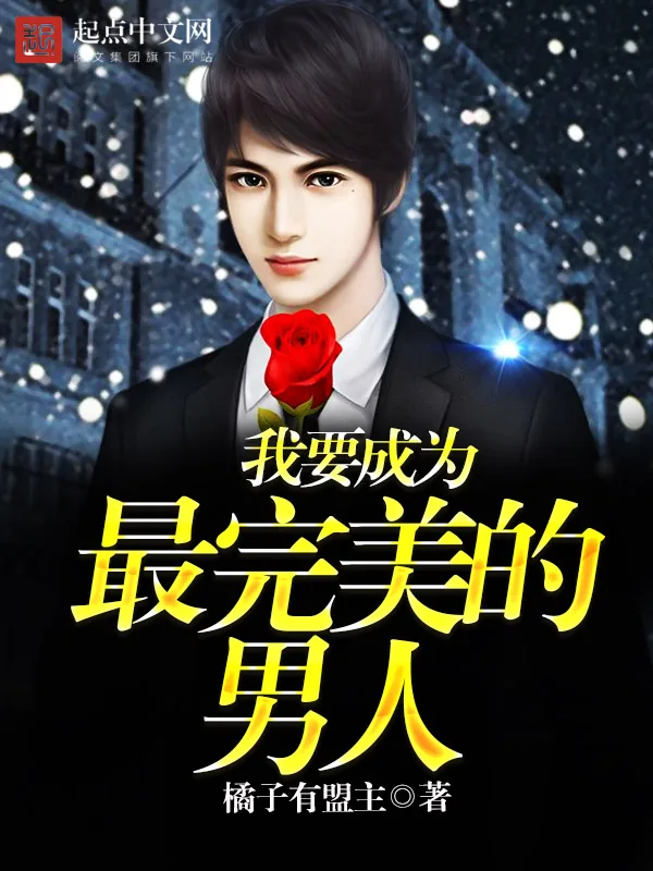 《我要成为最完美的男人》小说封面