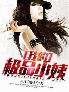 《我的极品小姨》小说封面