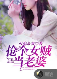 《抢个女贼当老婆》小说封面