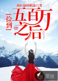 《捡到五百万之后》小说封面