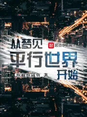 《从梦见平行世界开始》小说封面