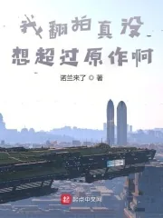 《我翻拍真没想超过原作啊》小说封面
