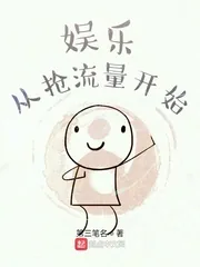 《娱乐从抢流量开始》小说封面