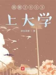 《回到2003上大学》小说封面