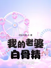 《我的老婆白骨精》小说封面