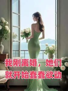 《我刚离婚，她们就开始蠢蠢欲动》小说封面