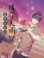 《高考失利后成了大明星》小说封面