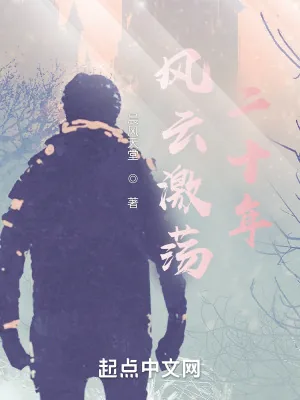 《风云激荡二十年》小说封面
