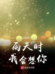 《雨天时我会想你》小说封面