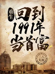 《重生：回到1991年当首富》小说封面