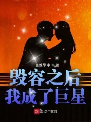 《毁容之后我成了巨星》小说封面