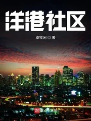 《洋港社区》小说封面