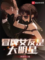 《冒牌女友是大明星》小说封面