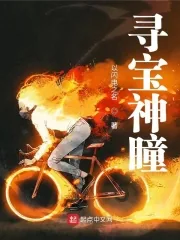 《寻宝神瞳》小说封面