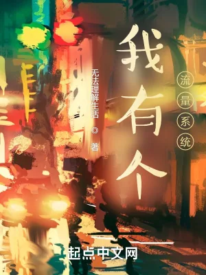 《我有个流量系统》小说封面