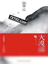 《大漠谣》小说封面