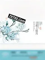 《寻找上弦月》小说封面