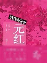 《元红》小说封面