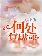 《何处复槿歌》小说封面
