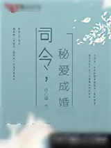 《司令，秘爱成婚》小说封面