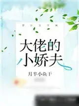 《大佬的小娇夫》小说封面