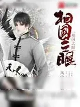 《相国之眼》小说封面