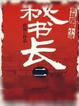 《秘书长2》小说封面