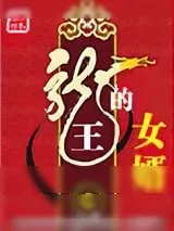 《龙王的女婿》小说封面