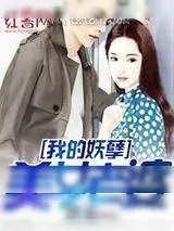 《我的妖孽美女老婆》小说封面