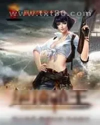《绝顶枪王》小说封面
