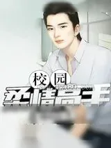 《校园柔情高手》小说封面
